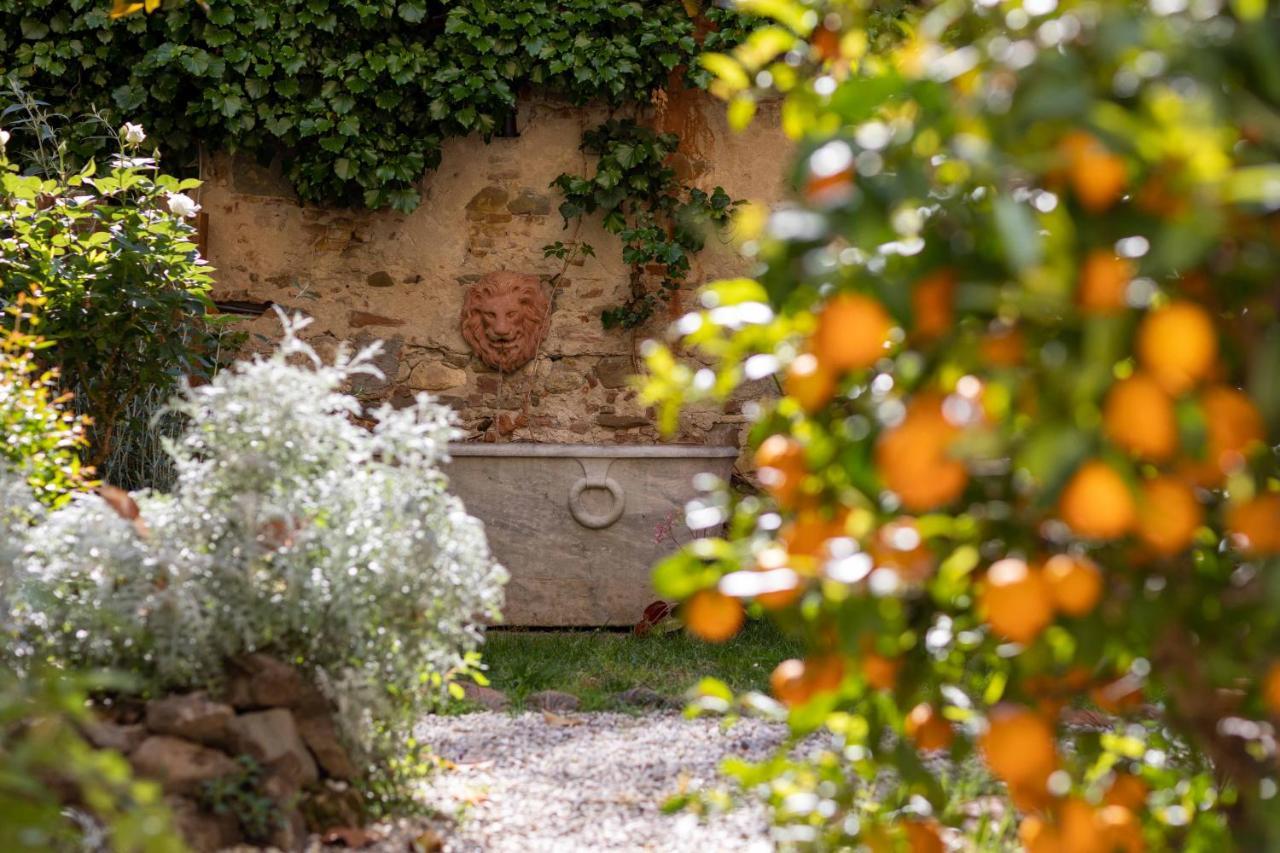 Secret Garden Firenze B&B Экстерьер фото