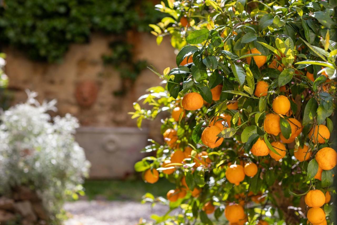 Secret Garden Firenze B&B Экстерьер фото