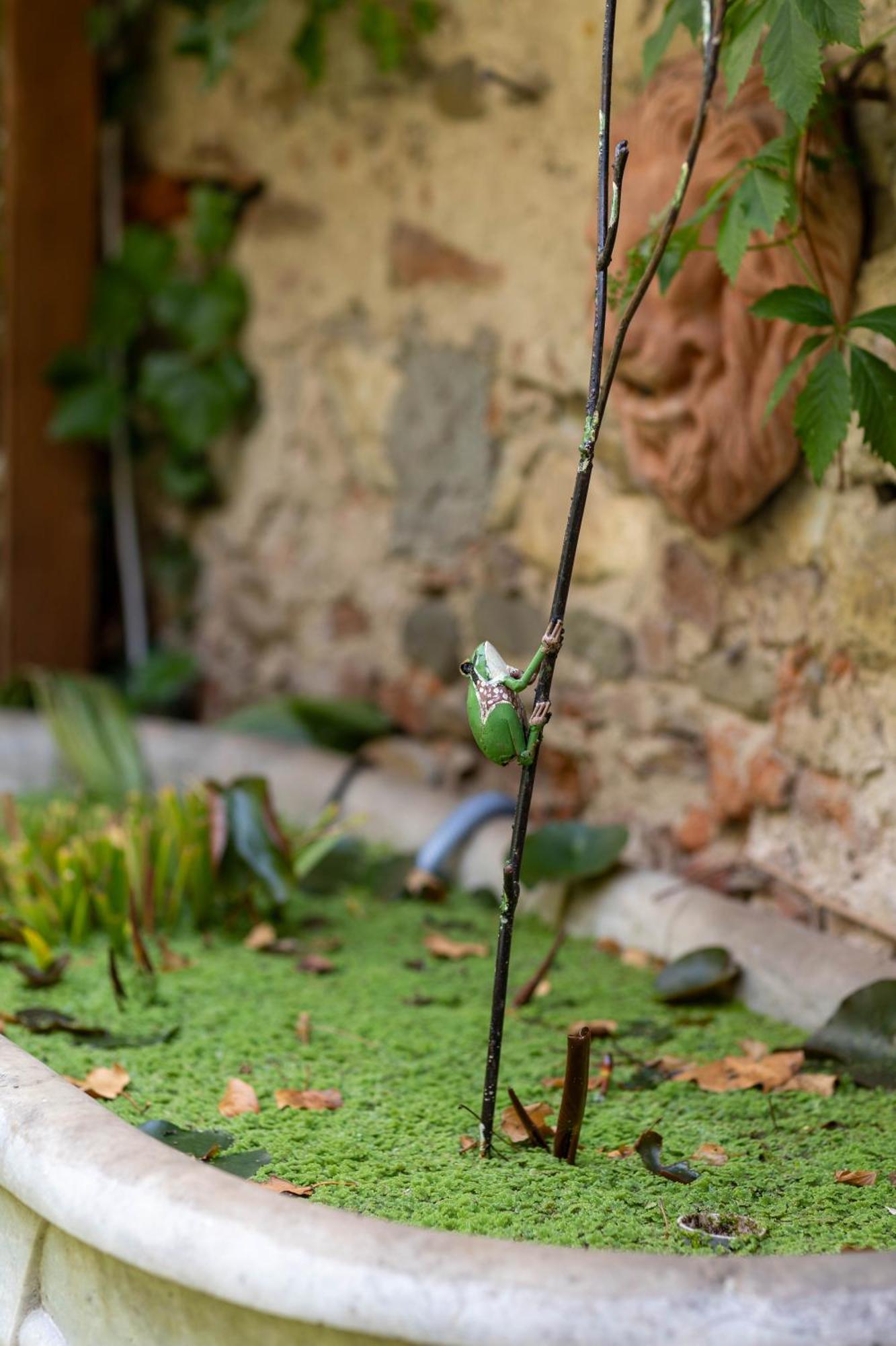 Secret Garden Firenze B&B Экстерьер фото
