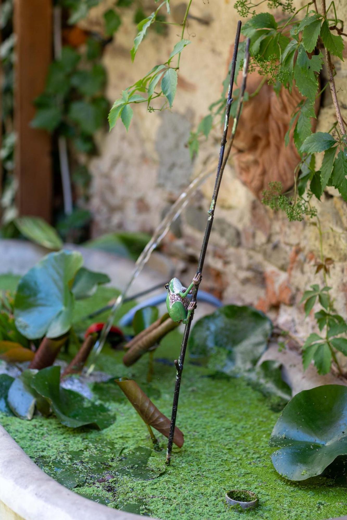 Secret Garden Firenze B&B Экстерьер фото
